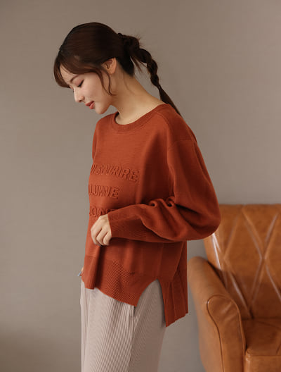 【ウォッシャブル】【M・Lサイズあり】エンボス加工ロゴプルオーバー