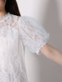 レース半袖ブラウス